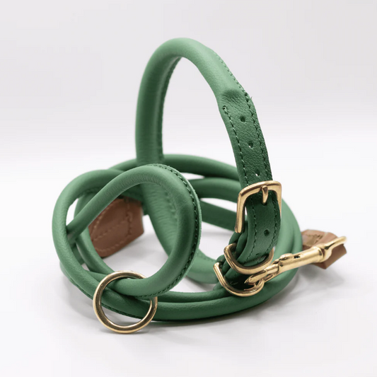 Rolled Soft Leather Dog Collar and Lead Set Clover