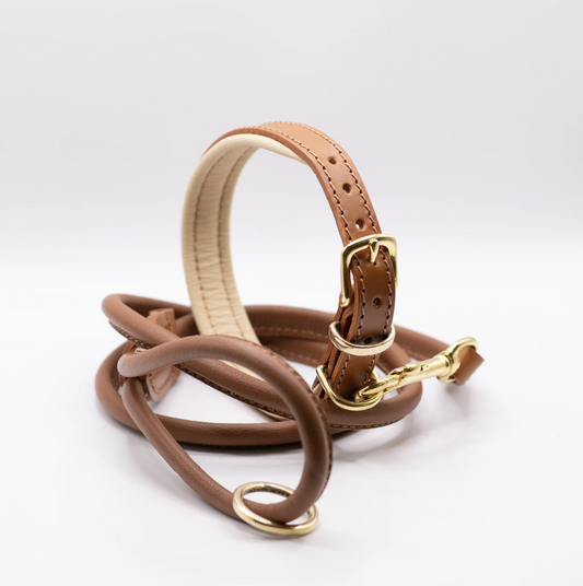 Padded Leather Dog Collar and Rolled Lead Set Tan