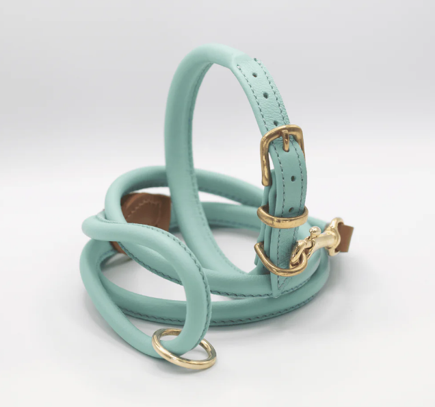 Rolled Soft Leather Dog Collar and Lead Set Aqua