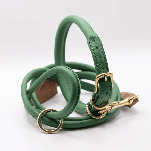 Rolled Soft Leather Dog Collar and Lead Set Clover