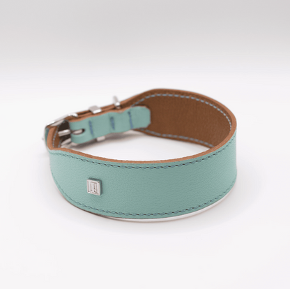 Flat and Wider Soft Leather Dog Collar Aqua