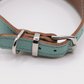 Flat and Wider Soft Leather Dog Collar Aqua