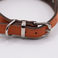 Flat and Wider Soft Leather Dog Collar Orange