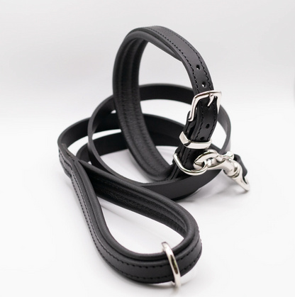 Padded Leather Dog Collar and Lead Set Black