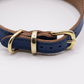 Soft Leather Hound Collar Electric Blue